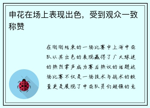 申花在场上表现出色，受到观众一致称赞